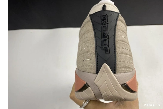 14 Jordan DC9857-200 Low Blush DC9857-200 AIR Retro Terra Clot 0323